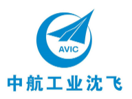 沈飛